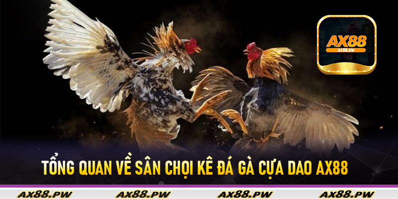 Tổng quan về sân chọi kê đá gà cựa dao Ax88