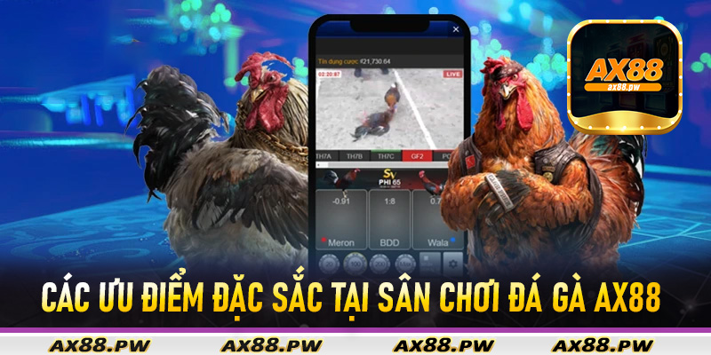Các ưu điểm đặc sắc tại sân chơi đá gà Ax88