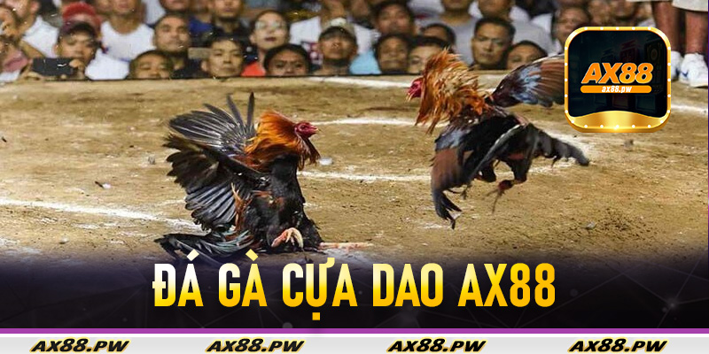 Đá Gà Cựa Dao Ax88